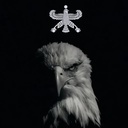 Profile picture of ‌𐎶𐏃𐎮𐎹‌