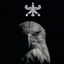 Profile picture of ‌𐎶𐏃𐎮𐎹‌