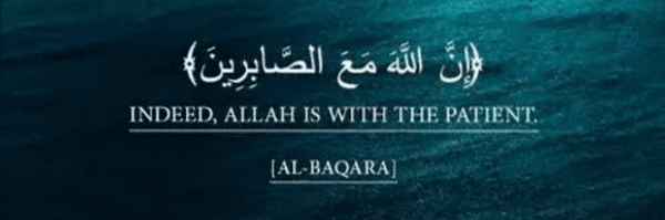 ‌Mersad‌'s header picture