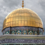 Profile picture of ‌زیتون🌿‌