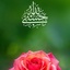 Profile picture of ‌خوش روزی‌