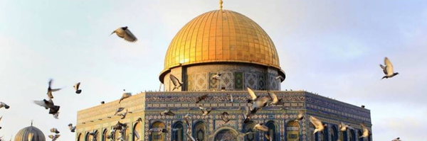 ‌حامد صادقی‌'s header picture