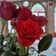 Profile picture of ‌زهره کهن‌