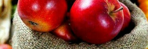 ‌مهدی اخلاقی‌'s header picture