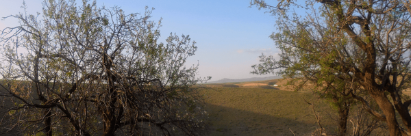 ‌علی رضا گودرزی‌'s header picture