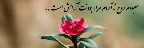 ‌Z hamediyan‌'s header picture