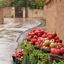 Profile picture of ‌هم نام مادر عیسی ع‌