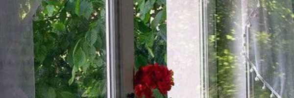 ‌علی زندی‌'s header picture