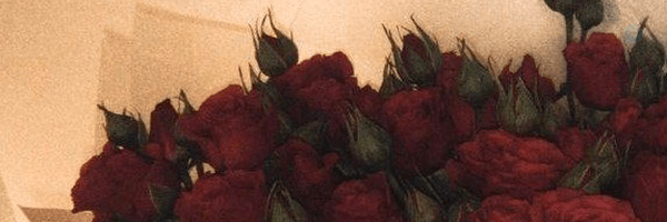 ‌کوکب.‌'s header picture