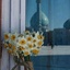 Profile picture of ‌Negar T‌