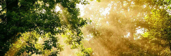 ‌نسیم شمال‌'s header picture