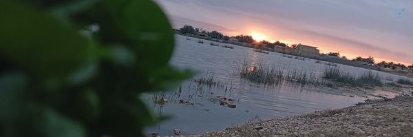 ‌AMIRALISHAVARDI .official‌'s header picture