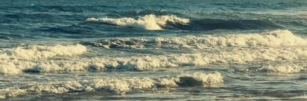 ‌(:🌿 𝐷𝑒𝑙𝑎𝑟𝑎𝑚‌'s header picture