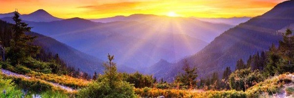 ‌طلبه‌'s header picture