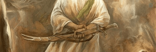 ‌سید علی‌'s header picture