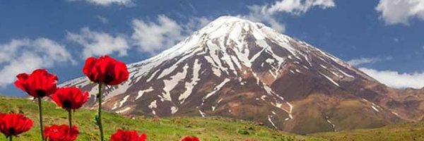 ‌روح اله ندری‌'s header picture