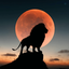 Profile picture of ‌Farid‌