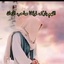 Profile picture of ‌محمد شنوا‌