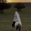 Profile picture of ‌آنه‌