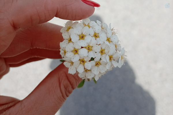 اینجا دوست دارم از چیزهایی بنویسم که واقعاً به درد بخورن؛ از تجربه‌های کاری و اجتماعی گرفته تا نکته‌هایی برای بهتر زندگی کردن.