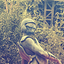 Profile picture of ‌احمد‌