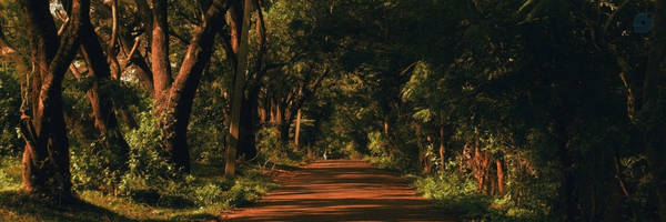 ‌داردوست؛‌'s header picture