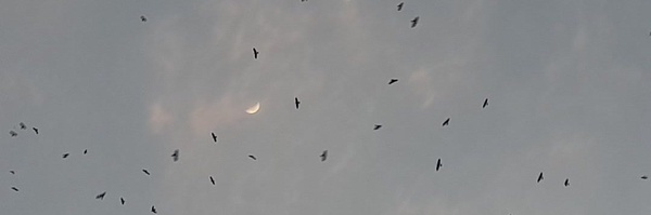 ‌عین‌'s header picture