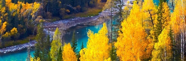 ‌ماهان خلیلی‌'s header picture