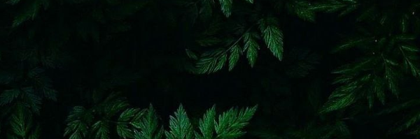 ‌حاج ممد‌'s header picture