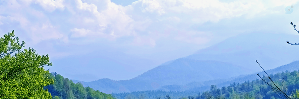 ‌Mg‌'s header picture