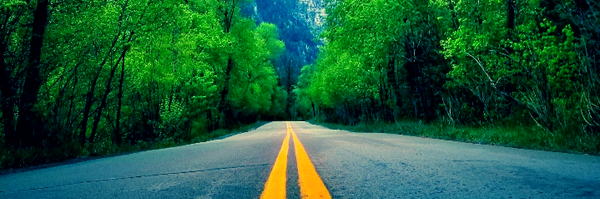 ‌امیرمهدی میهن دوست‌'s header picture