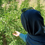 Profile picture of ‌🎒Saeedeh‌