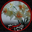 Profile picture of ‌گ‍‌م‍‌ن‍‌ام‍‌...‌