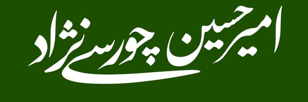 ‌امیرحسین چورسی نژاد‌'s header picture