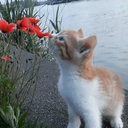 Profile picture of ‌Esi‌