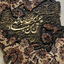 Profile picture of ‌زهرا پرهام فرد‌