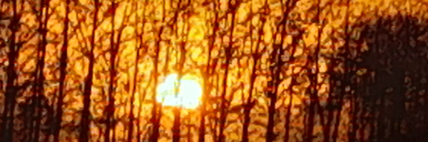 ‌ترانه قادری‌'s header picture
