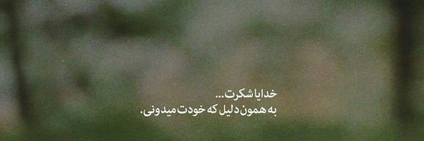 ‌سید رضا میرحاجی‌'s header picture