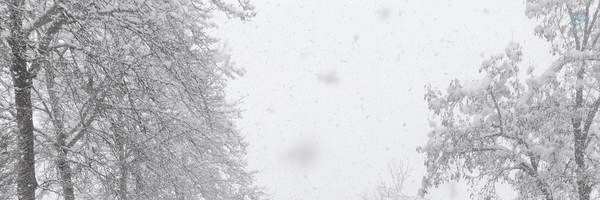 ‌هادی قدیمی‌'s header picture