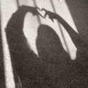 Profile picture of ‌•¦🤎𝐒𝐀𝐑𝐄𝐇🤎¦•‌