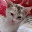 Profile picture of User