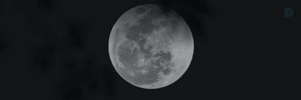 ‌Reyhaneh‌'s header picture