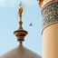 Profile picture of ‌shafaei‌