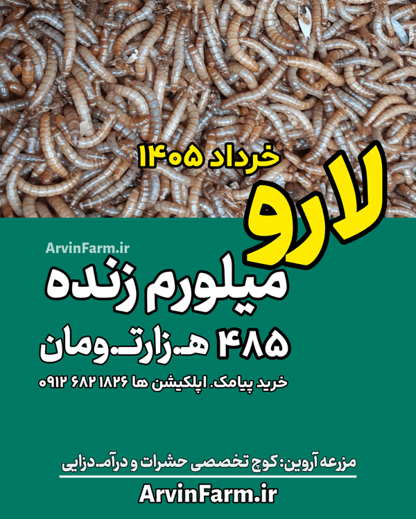 قیمت کرم میلورم زنده خرداد ماه ۱۴۰۵-۱۴۰۶ لارو میل ورم | آموزش پرورش سوسک میلورم و ارسال مولد ارسال سراسر کشور
مزرعه آروین