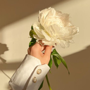 Profile picture of ‌Psy Jahanbin‌