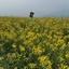 Profile picture of ‌Leila Rodsarabi‌