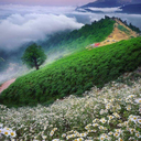 Profile picture of ‌محمود حسینی‌