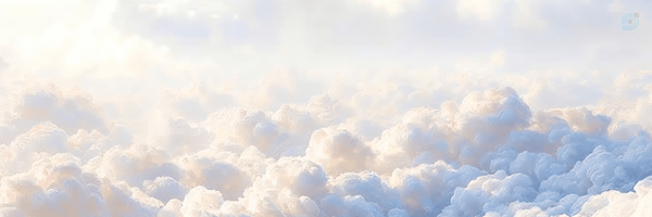 ‌شهروند ساده 8‌'s header picture