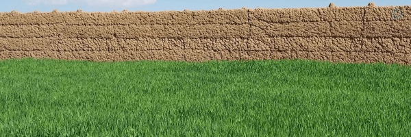 ‌🏴طاهـــره‌'s header picture