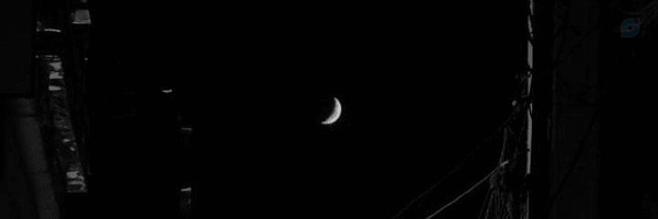 ‌مجنون ؛ ‌.‌'s header picture